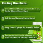 MAAJEE Animals Nutrition | Feed Supplement Minerals Mixture – Improvement in Milk Fat & SNF Content | Weight Gainer for All Animals (908 GM, Pack of 2)