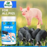 MAAJEE Pig Nutrition and Supplement/Mineral Mixtures , Provides Nutrients to Support Skin & Coat Health and Appearance Improve Weight, Health Digestion (908gm)