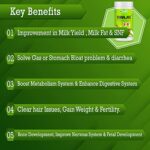 MAAJEE Animal Nutrition & Feed Supplement Minerals Mixture | for Live Stock Improvement in Milk Yield, Milk Fat & SNF Content (for All Animals) | Weight Gainer 908gm