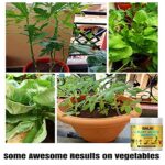 MAAJEE Plant Growth Promoter Soil Application Fertiliser for All Indoor Outdoor Plants-400GM