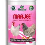 MAAJEE Multivitamins Nutrition & Mineral Supplements, Weight Gainer & Growth Promoter for Poultry, No Added Chemicals or Fragrance (908gm)