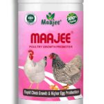 MAAJEE Poultry Growth Promoter | Multivitamins Nutrition & Mineral Supplements, Weight Gainer & Growth Promoter for Poultry, No Added Chemicals or Fragrance – 908GM
